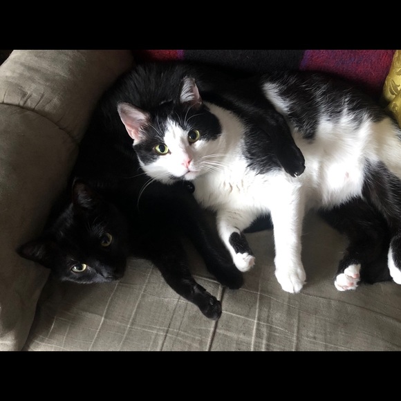 ozzy0619
